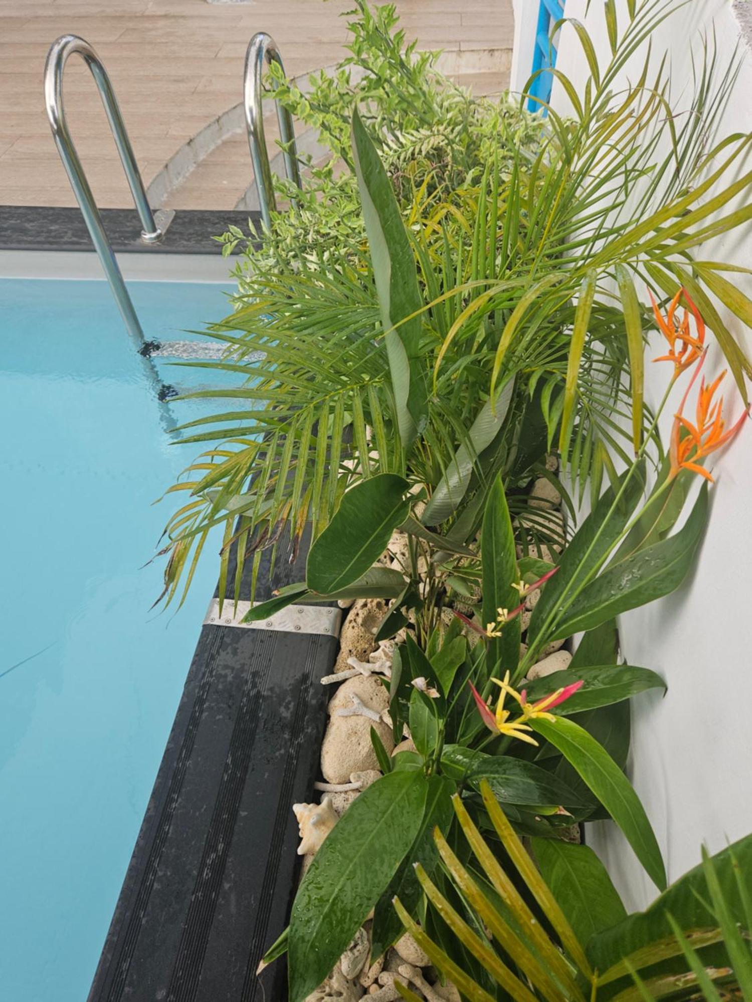 Ti Oasis Colibri, 1 Chambre, Piscine, A 150M De La Plage Sainte-Luce Exterior foto